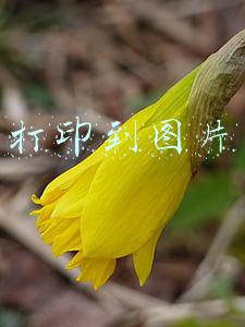 打印到图片的虚拟打印机安装(怎样安装pdf虚拟打印机)