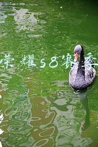 王者荣耀s8赛季皮肤