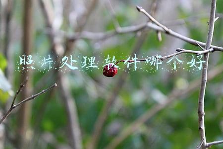 照片处理软件哪个好用简单好用的修图软件介绍(一秒拯救拍照！史上最详细手机修图APP推荐：谁才是“智商税”？)