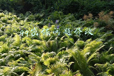 qq密保问题修改