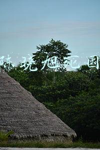 陈晓旭哪年没的(2007年陈晓旭患癌去世，当时陪她一起出家的丈夫，如今过得怎样了)