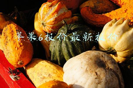 苹果6手机最新价格(iPhone 6 32GB正式发布：3399元，只有金色)