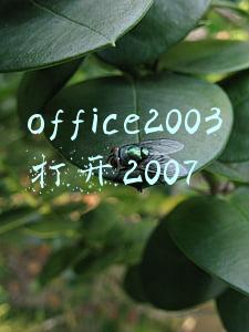 office2003打开2007文件(全能office神器 | 下载/安装/激活/管理一条龙)