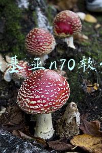 诺基亚n70软件资源(靠卖山寨货，一年爆赚600亿！中国最强捡漏王，凭什么这么牛？)