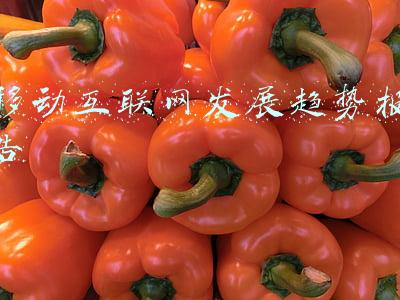 我国移动互联网行业的发展现状(在存量时代，我们发现了互联网行业三个增长新趋势)