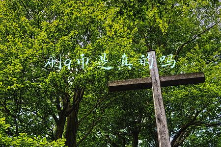 刷q币是真的吗