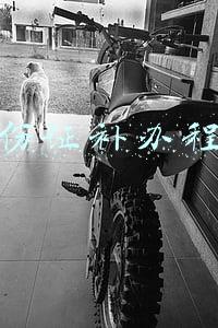 身份证补办程序