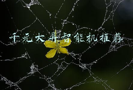 江西led智能大屏(重磅来袭！山东首块8K裸眼3D户外大屏亮相烟台开发区)