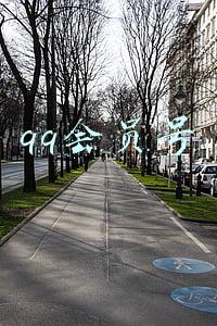 qq会员号