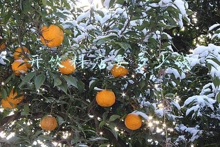 饮料加盟店一般费用多少 加盟奶茶店一般大概需要多少钱？