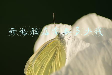 开电脑店需要多少钱