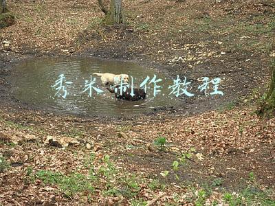 秀米制作教程