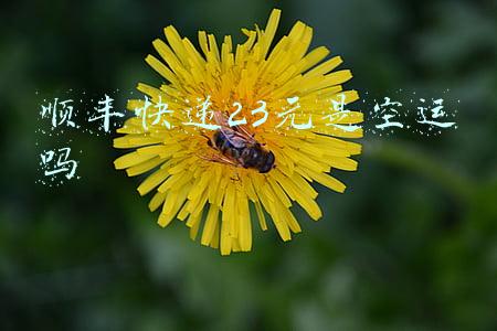 顺丰快递23元是空运吗