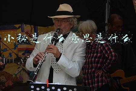 小秘是什么意思是什么意思(偷窥者（短篇小说）)
