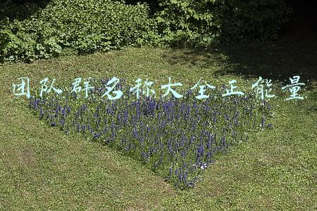 团队群名称大全正能量