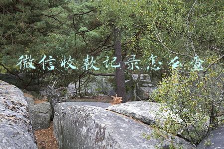 微信收款记录怎么查