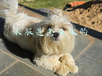 衣服是怎么做的