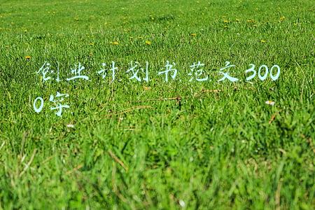 创业计划书范文3000字
