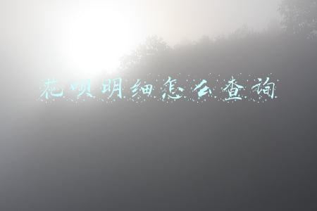 花呗明细怎么查询