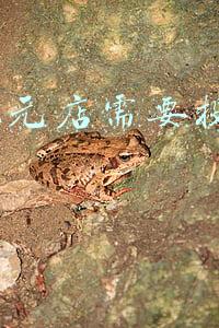 开个2元店需要投资多少钱