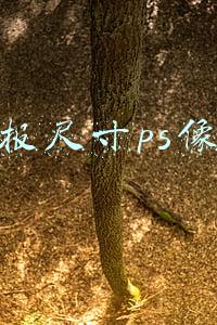 海报尺寸ps像素