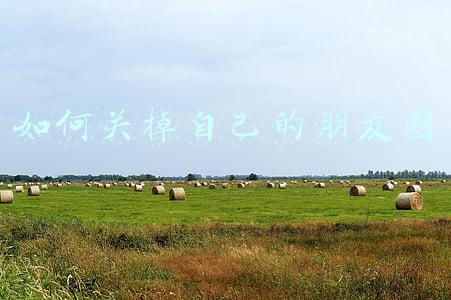 怎么把朋友圈关掉(关闭微信朋友圈)