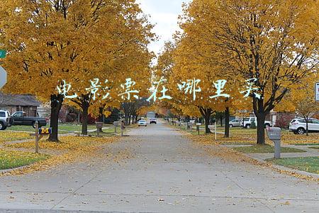 电影票在哪里买