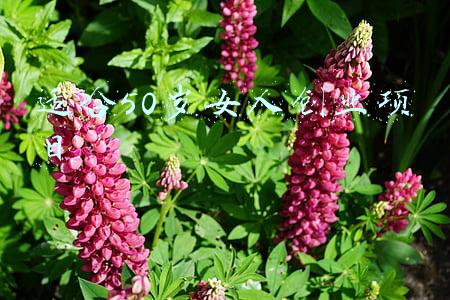 适合50岁女人创业项目