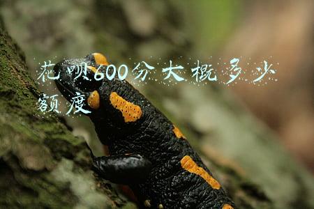 花呗600分大概多少额度