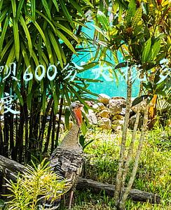 花呗600分大概多少额度