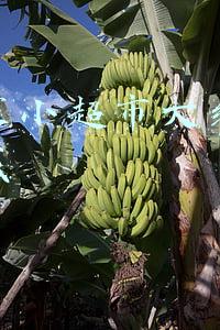 开一家小超市大约投资多少钱