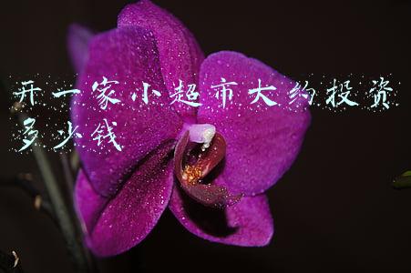 开一家小超市大约投资多少钱