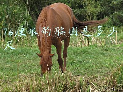 76厘米的腰围是多少尺