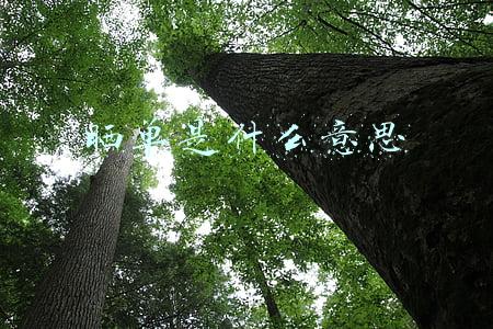 晒单是什么意思
