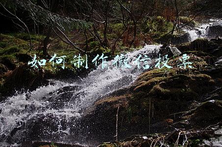 如何制作微信投票