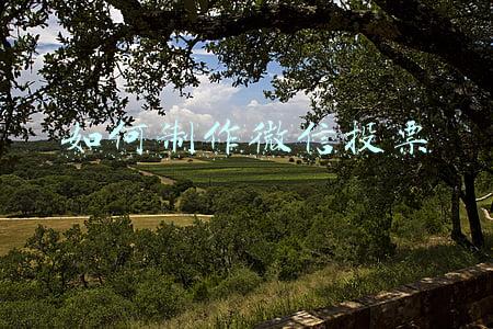 如何制作微信投票