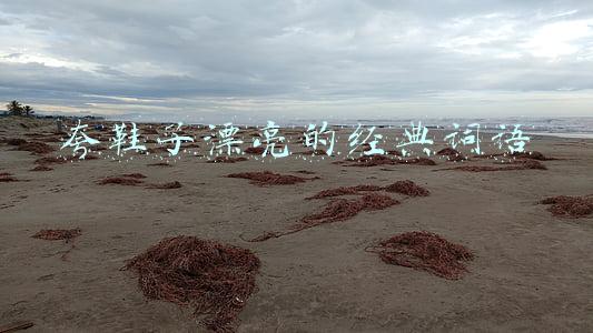夸鞋子漂亮的经典词语