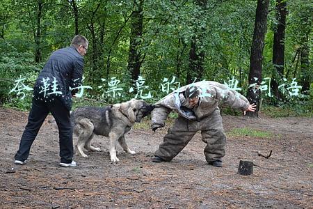夸鞋子漂亮的经典词语