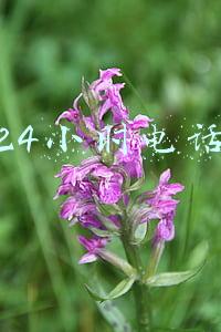 24小时电话