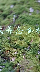 qq截屏怎么操作