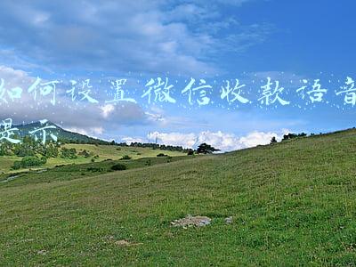 如何设置微信收款语音提示