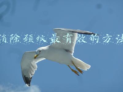 消除颈纹最有效的方法