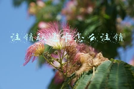 注销联通卡怎么注销
