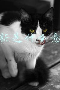 焕新是什么意思