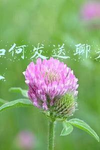微信如何发送聊天记录给别人