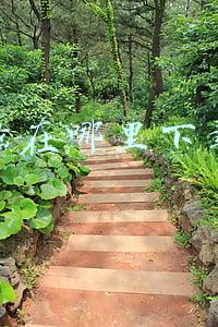 新电脑在哪里下载软件