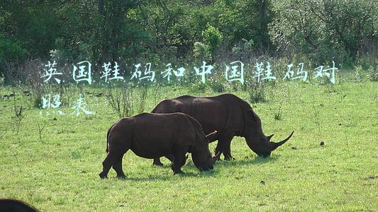 英国鞋码和中国鞋码对照表