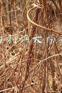 烧烤的利润大约是多少