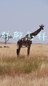 被移出群聊怎样删除群
