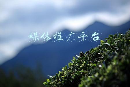 媒体推广平台